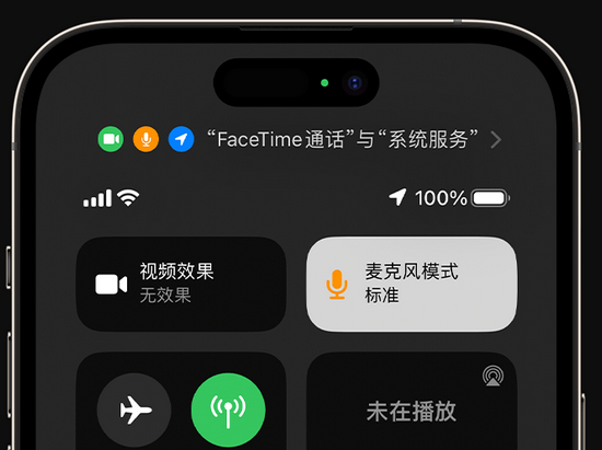 沿河苹果授权维修网点分享iPhone在通话时让你的声音更清晰 