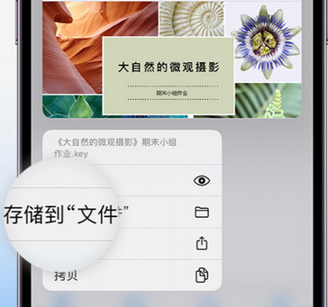 沿河apple维修中心分享iPhone文件应用中存储和找到下载文件