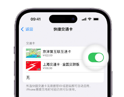 沿河apple维修点分享iPhone上更换Apple Pay快捷交通卡手绘卡面 