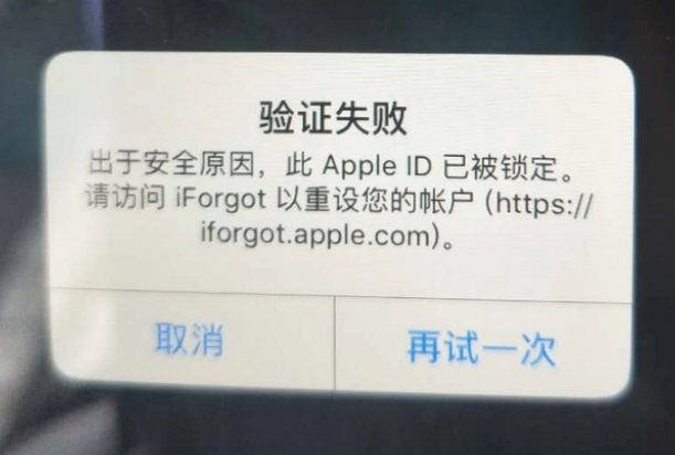 沿河iPhone维修分享iPhone上正常登录或使用AppleID怎么办 