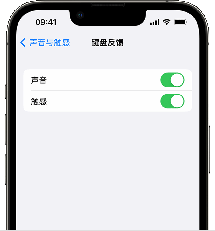 沿河苹果14维修店分享如何在 iPhone 14 机型中使用触感键盘 