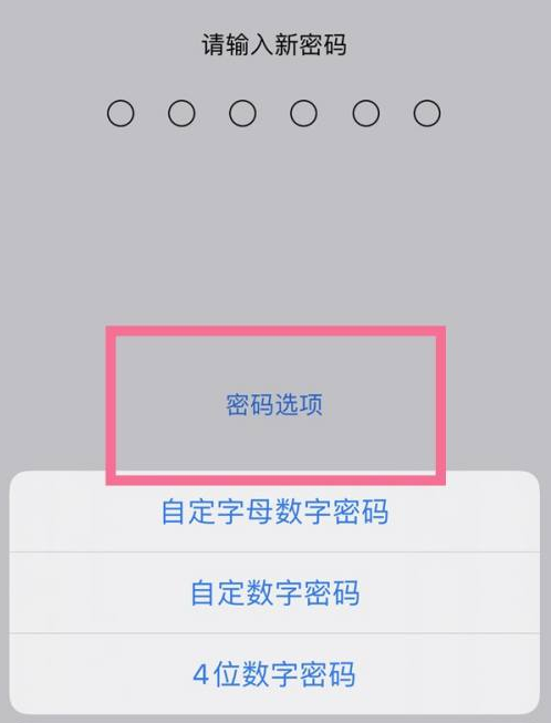 沿河苹果14维修分享iPhone 14plus设置密码的方法 