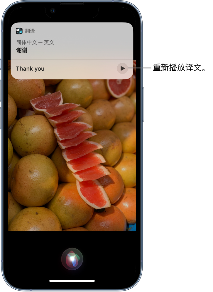 沿河苹果14维修分享 iPhone 14 机型中使用 Siri：了解 Siri 能帮你做什么 