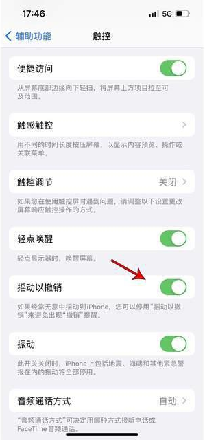 沿河苹果手机维修分享iPhone手机如何设置摇一摇删除文字 